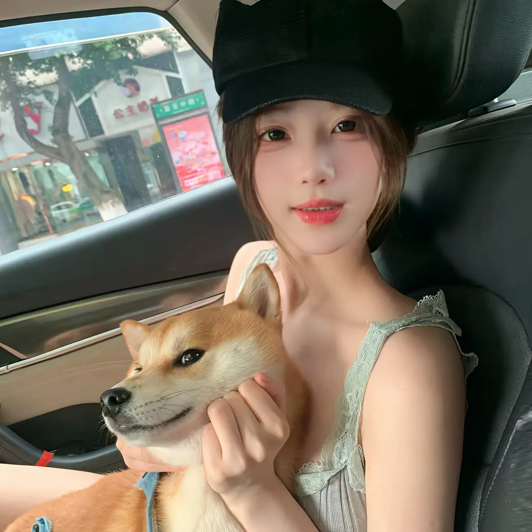 灵狐 封面