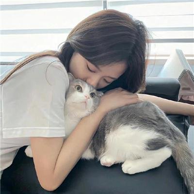 网美嬉游记 封面